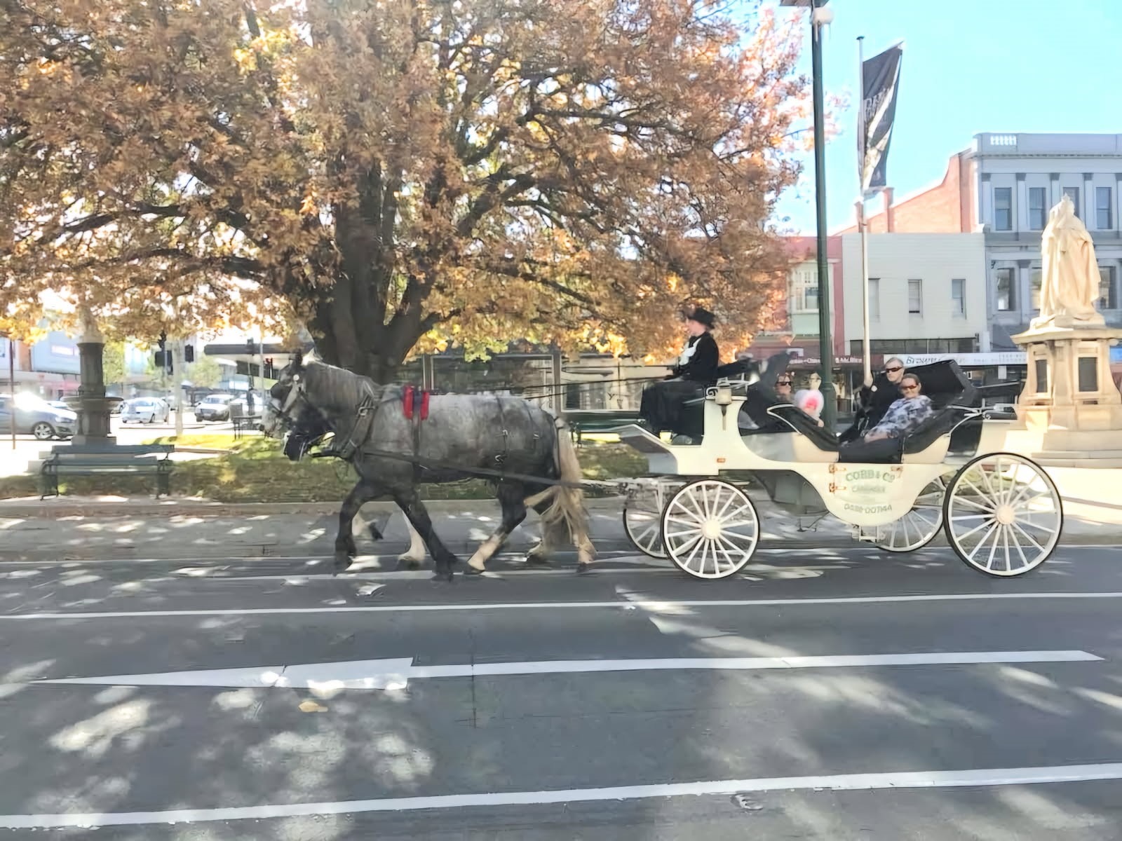 Horse & Carriage Rides image